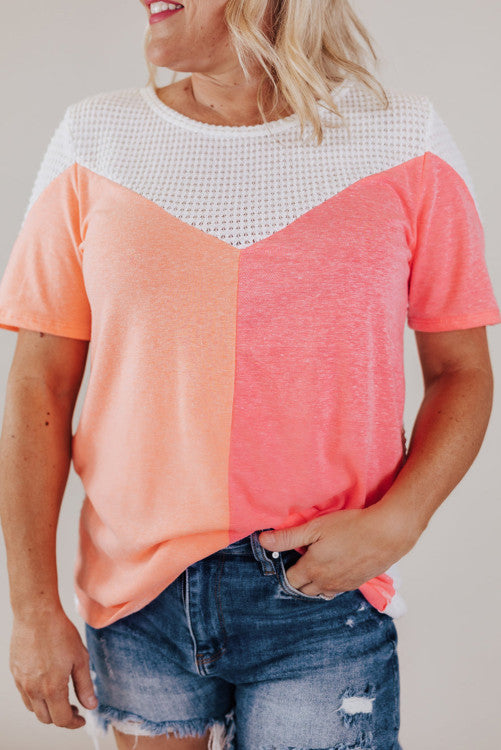 Plus Size Mesh Colorblock Top ⭐️