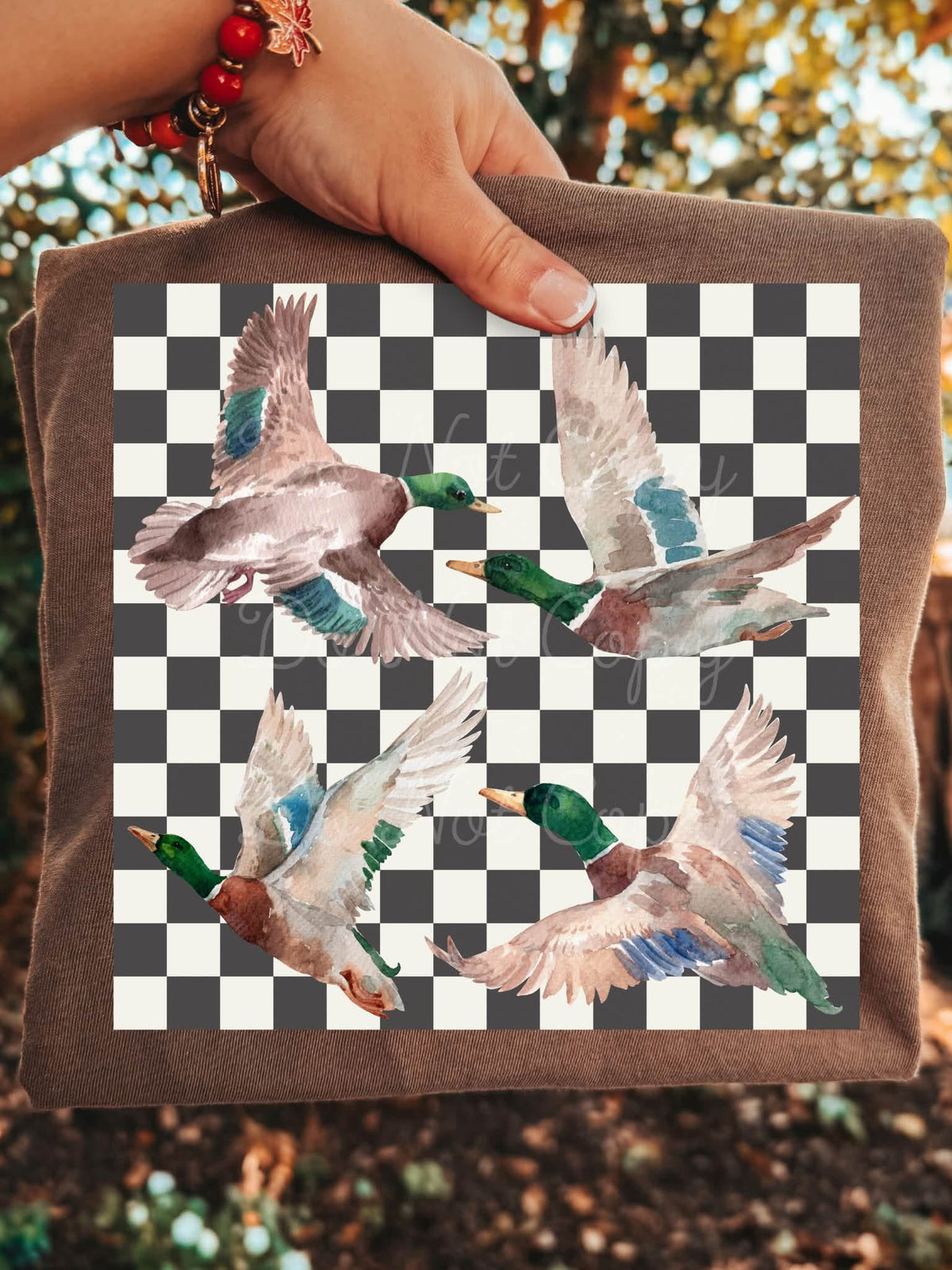 Checkered Mallard